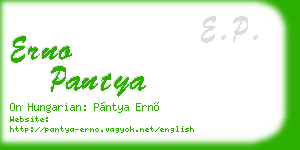 erno pantya business card